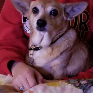 Meet your Posher, Sherrie